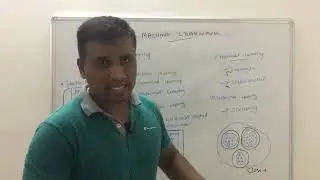 Machine Learning Introduction 1 | Types of machine Learning in Tamil