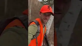 Elk and mule deer hunt 2024 with pack goats.