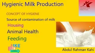 Hygiene Milk Production | Dairy Production | Animal Husbandry | #Animals Production Practices