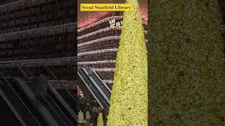 Seoul Coex Stanfield Library Christmas #christmas #seoul #newyear #coexmall