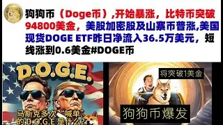 狗狗币（Doge币）,开始暴涨，比特币突破94800美金，美股加密股及山寨币普涨,美国现货DOGE ETF昨日净流入36.5万美元，短线涨到0.6美金#DOGE币#马斯克狗狗币#DOGE行情分析