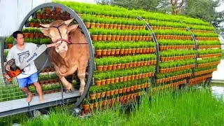 Dangerous Farm Vehicles #WithMe Pretty Girl DIY Cow Farming Milking Cure Cows Feeding Tree Cutting