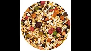 Качественный корм для больших попугаев. High-quality food for large parrot.Korralik toit papagoidele