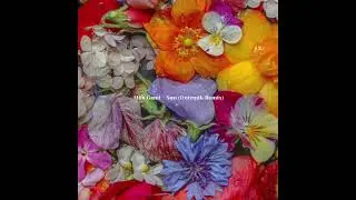 Mita Gami - Sun ( Onizmik Remix )