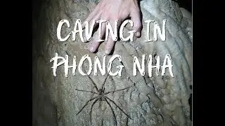 3 Day Caving Expedition - Things to do Phong Nha, Vietnam