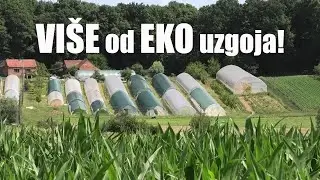 Ekološka i biodinamička poljoprivreda u praksi!