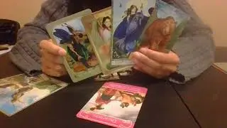 Pick a card reading: What do they think of when they think of you?
