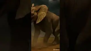 elephant and hyena fusion                       #fusion #fusionshorts