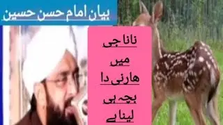 Bayan mamma Hussain aur Hiran ke bacche ka/ 786 Tv channel official