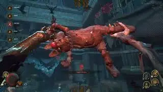 Carnivalhunt (Альфа, кемплю 2-й этаж за фокусника) (18 октября 2025)