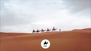Briansway & Gabieris - Ergon (Camel) (Cafe De Anatolia)