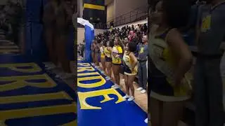 North Carolina A&T Aggie Cheerleaders 💙💛