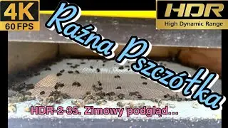 HDR-2-35. Zimowy podgląd