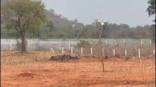 Agriculture Land For Sale in Nalgonda District 