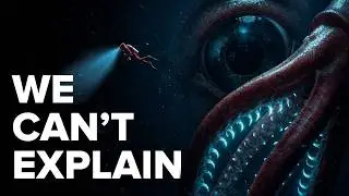 Why We Can't Find Any Colossal Squid Alive