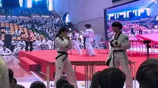 Professional equipment for practicing self-defense punching techniques in Taekwondo - Taekwondo LT