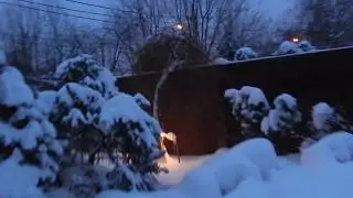 DSCN1827