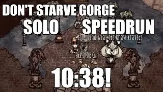 DST Gorge; Speedrun Solo w 10:38!