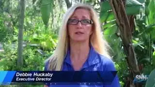 SNN  Birds of Paradise solves bird homelessness on the Suncoast