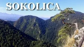 Sokolica (747 m n.p.m) - 14.06.2016r.