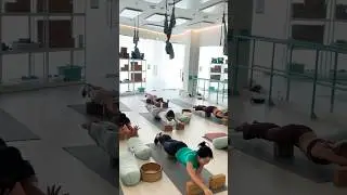 Working on the alignment of handstand #handstandworkout#yogapractice#yogateacher#ytshorts#ytviral#yt
