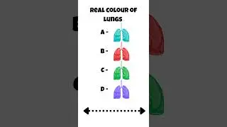 Real colour of lungs l The Quiz book l #ytshorts #shorts @DailyQuizYT