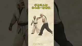 Мастер кунгфу работает #кунфу #kungfu #martialarts