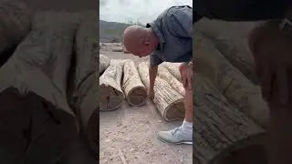 Bocote Log Sizes