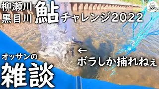 鮎チャレンジ2022最終回かも（柳瀬川、黒目川）