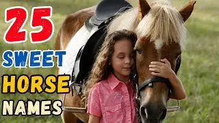 Sweet Horse Names   MALE & FEMALE   25 Best Ideas   SWEET HORSE   HORSE NAME