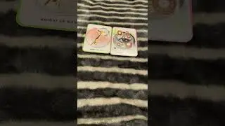 3rd place Aquarius bonus mini love read