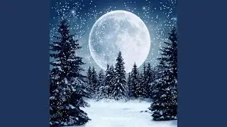 Happy Winter