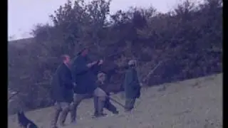 Sporting Scene -  Classic Game Shooting Partridge.