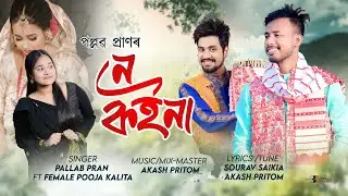 NA KOINA - Pallab Pran FT. Pooja Kalita||Akash Pritam||Sourav Saikia||New Assamse Song 2026