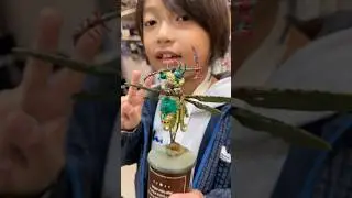 小孩玩戰鎚 8 years old kid finished painting his Pusgoyle Blightlords  #nurgle #ageofsigmar #warhammer