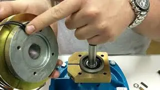 Armado de electroimán para bomba Hypro 92022-R