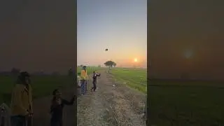 Patang festival in village #kite #shortsfeed #shorts #short #trending #ytshorts