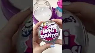 Mini Brand Pick My Squishy Ingredients