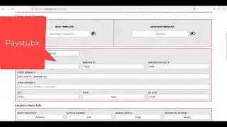 Paystubx  How to Generate a free Paystub Paycheck instantly #2023