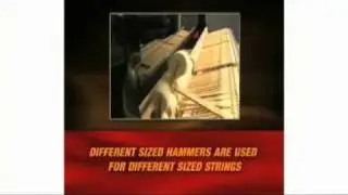 YAMAHA Graded-Hammer Standard Action
