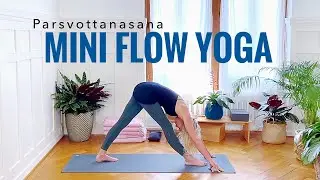 Mini Yoga Break  | 16 min | All Levels | Cat de Rham | Online Yoga Teaching