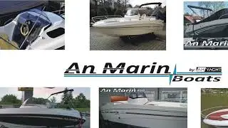 AnMarin 565 sundeck powered by EVINRUDE