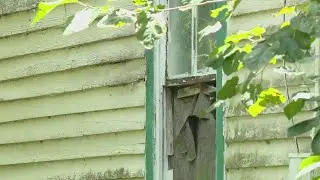 Only on KHOU 11 | Galveston County man says millions of bees have taken over his home for decades