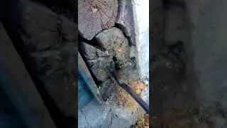 VID 20141008 161521