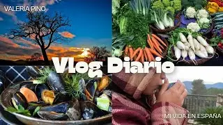 UN D&Iacute;A COMPLETO CONMIGO ☕ | RUTINA DIARIA, ESTUDIO PARA EX&Aacute;MENES, COMPRA Y ORGANIZACI&Oacute;N 🧩