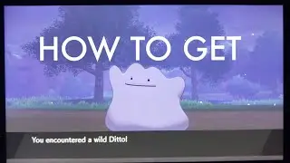 How to get DITTO in Pokemon SWORD AND SHIELD
