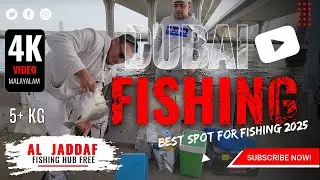 🐬5kg+ വലുപ്പംമുള്ള മീൻ കിട്ടിയേ 🐬| Best Fishing Spot in Dubai| #freetovisitdubai #dubaifishing
