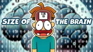 Qual &eacute; o Volume do C&eacute;rebro? 10 ou 100 Petabytes?