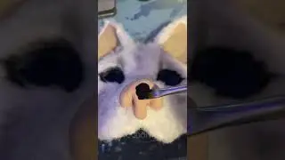 Little tutorial on how I make my masks! Artic fox edition 🦊#fox #mask #articfox