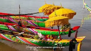 Cliff Koh Cambodia Group Snorkelling with Prince &ndash; Island Adventure to Remember